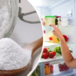 Miksi jääkaapin seinät kannattaa hieroa soodalla – Poista haju ja home helposti!