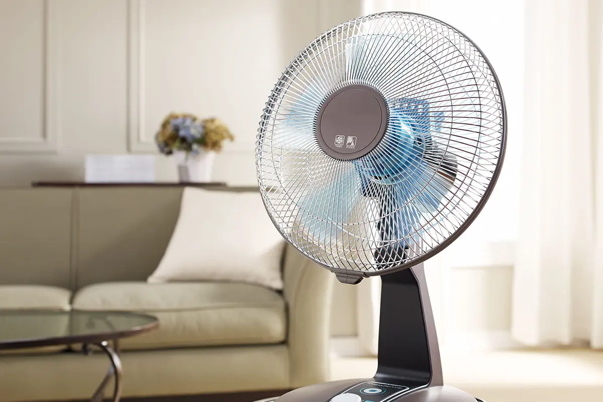 Estä kärpäset häiritsemästä ulkona syömistä: Yksinkertainen ja tehokas tapa pitää ne loitolla