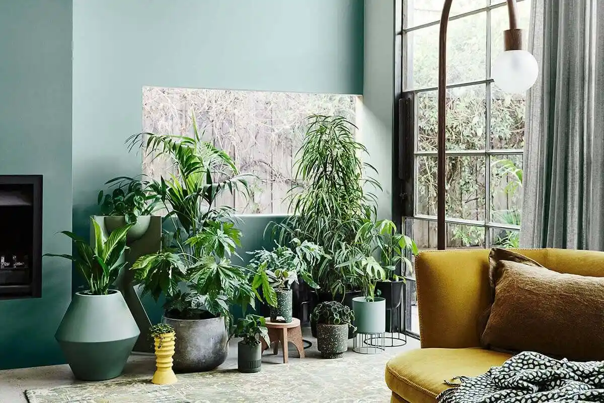 Näin suojaat huonekasvit talven lämmitykseltä