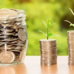 Horoskooppi 2025: Nämä neljä kiinalaisen horoskoopin merkkiä saavat parhaat talousuutiset elokuussa