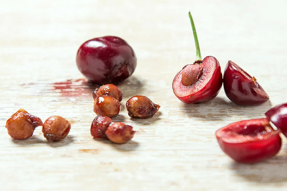 Näin istutat kirsikan siemeniä saadaksesi puun, joka tuottaa suuria ja maukkaita hedelmiä