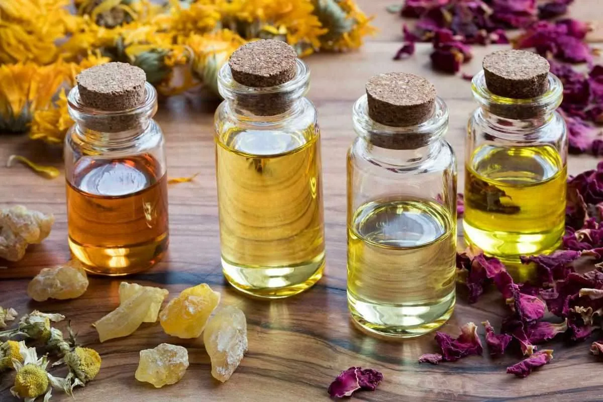 Kissan hajun poistaminen: Näin pidät kotisi raikkaana