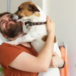 Luovia niksejä koiranomistajan arjen helpottamiseksi