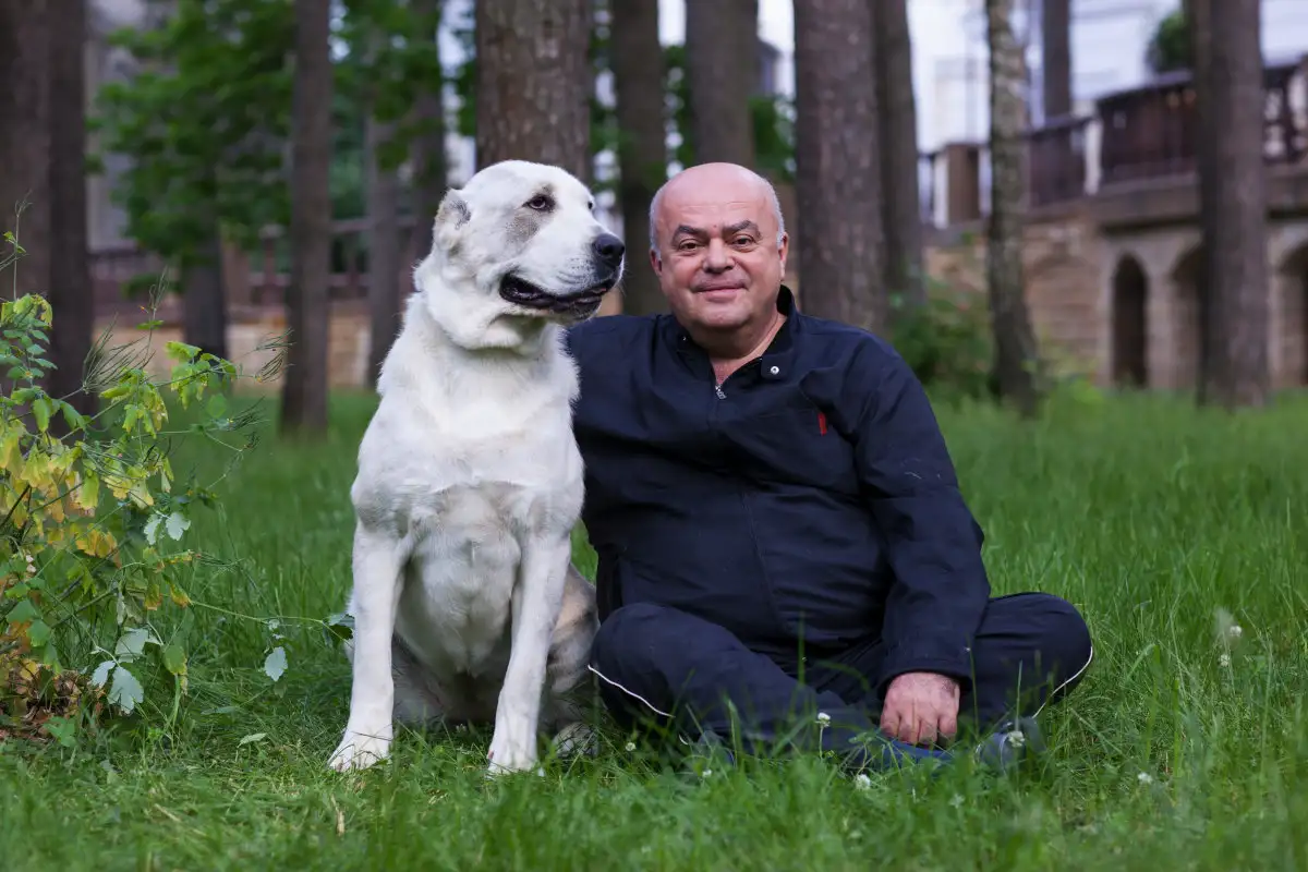 Luovia niksejä koiranomistajan arjen helpottamiseksi