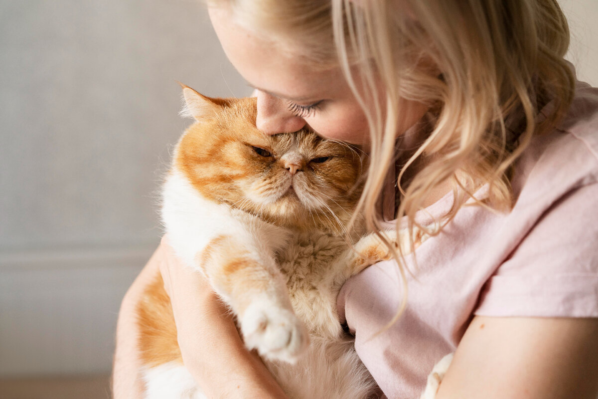 Miksi kotikissaa ei saa suudella: mitä eläin tuntee, kun teet niin