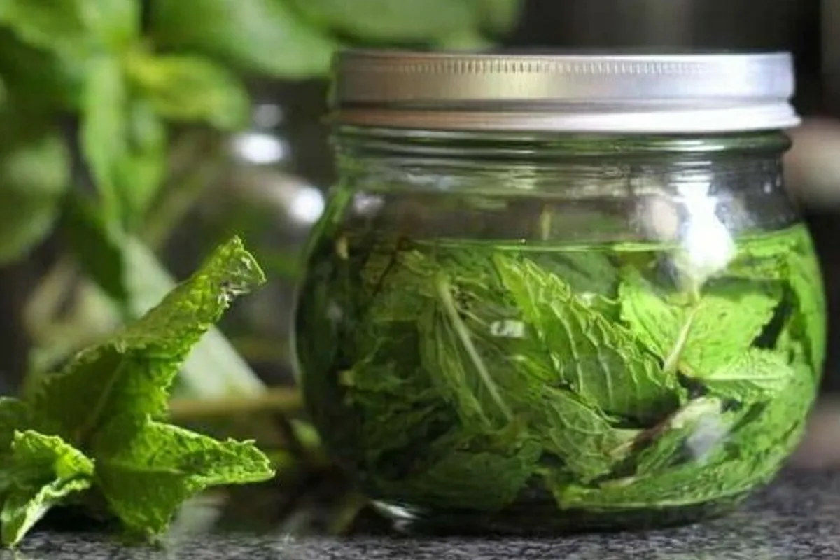 Kotitekoinen ilmanraikastin edullisesti – raikas koti luonnollisesti