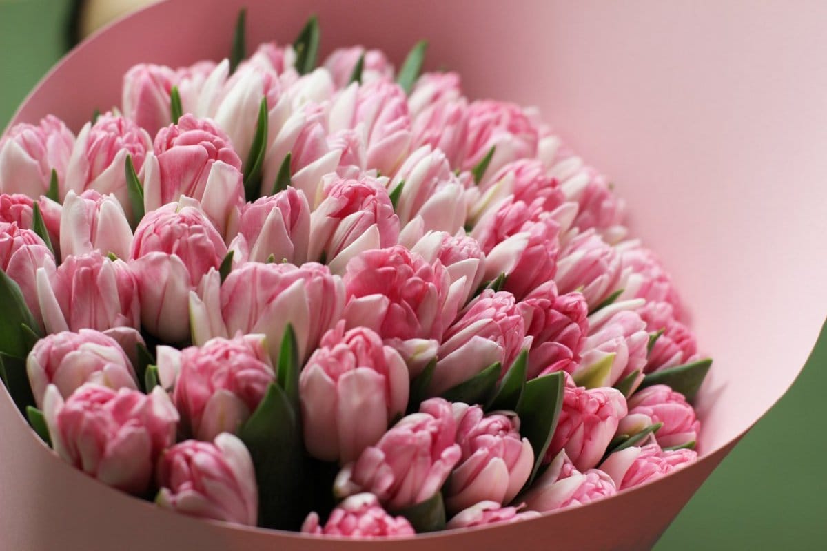 Näin pidät kukkakimpun tuoreena pidempään – vältä nämä 10 yleistä virhettä!