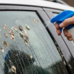 Poista kyyhkysen ulosteet autostasi: Näin puhdistat sen yksinkertaisella kotikonstilla