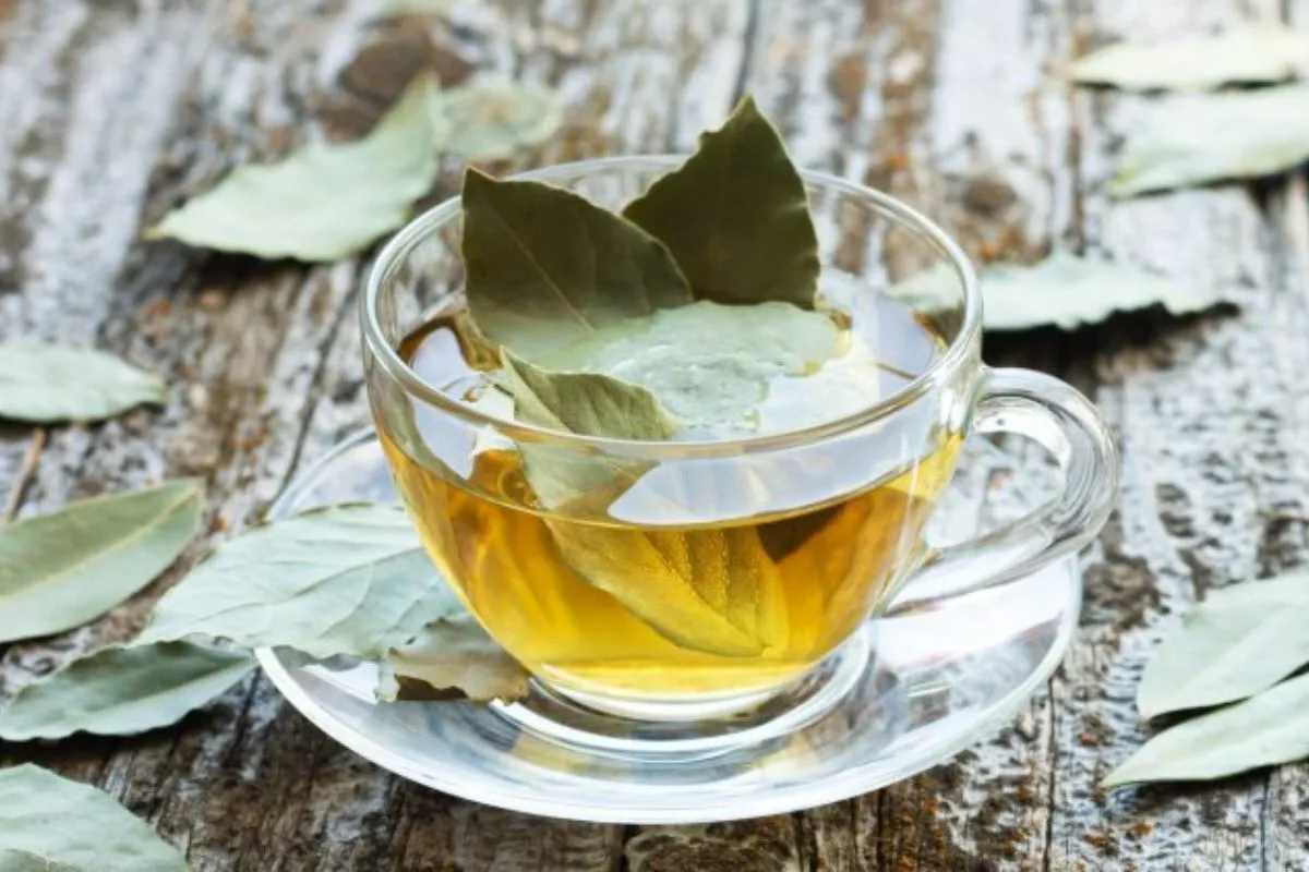 Laakerinlehtitee aamuisin: Miksi sitä kannattaa juoda joka päivä ja mitä hyötyjä se tarjoaa?