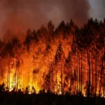 Voiko metsäpalot ennustaa ja estää niiden syttyminen?