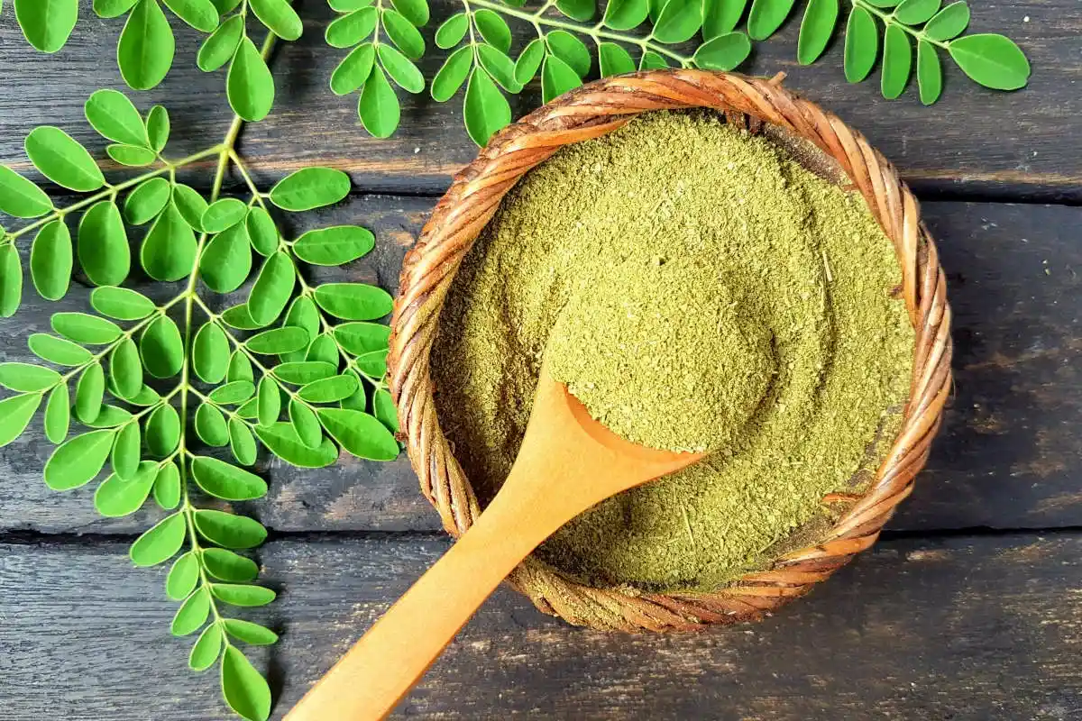 Moringa ja sen tieteellisesti todistetut hyödyt: Mitä tiede sanoo riskeistä ja sivuvaikutuksista?