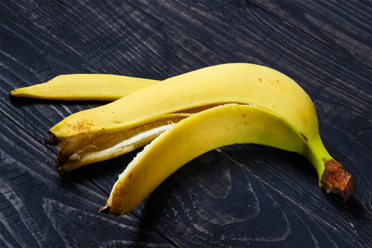 Salaisuus kukoistaviin orkideoihin: lannoita mustalla teellä ja banaaninkuorilla!