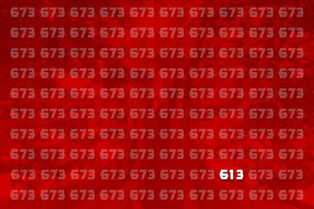 Vain 1 % kotkansilmistä löytää luvun 613 yhdeksässä sekunnissa: haastava optinen illuusio