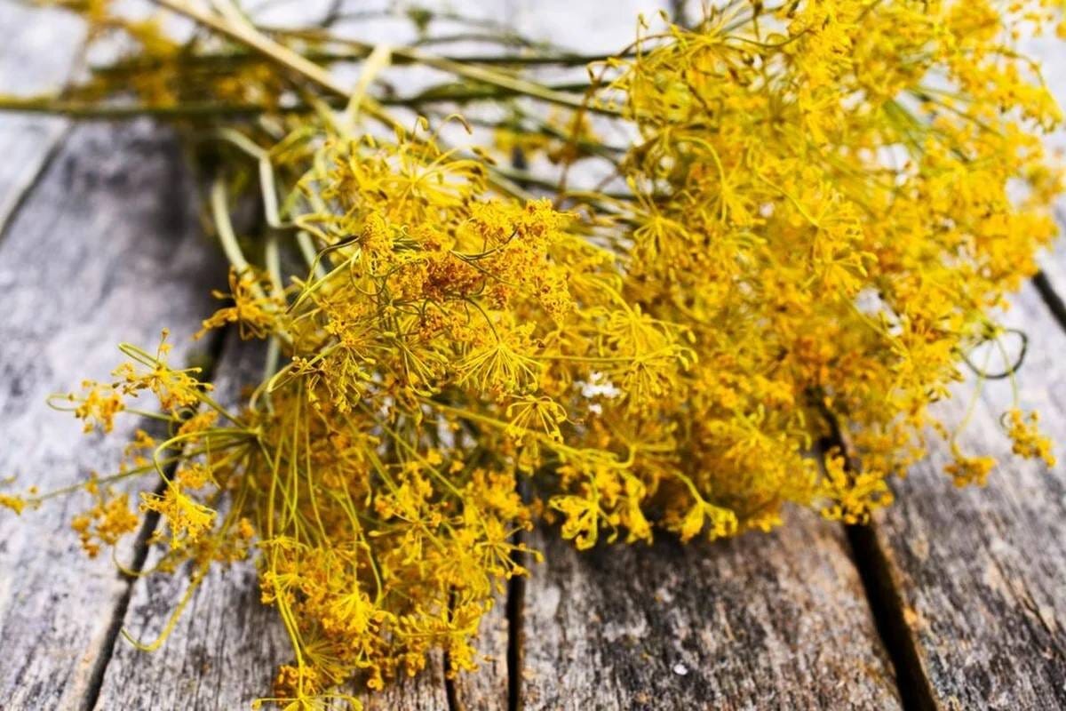 Oudot ainesosat, jotka olivat suosittuja menneisyydessä