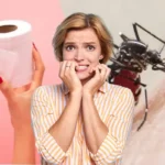 Paperipyyhetrukki hyttyset – lopeta pistot luonnollisesti!