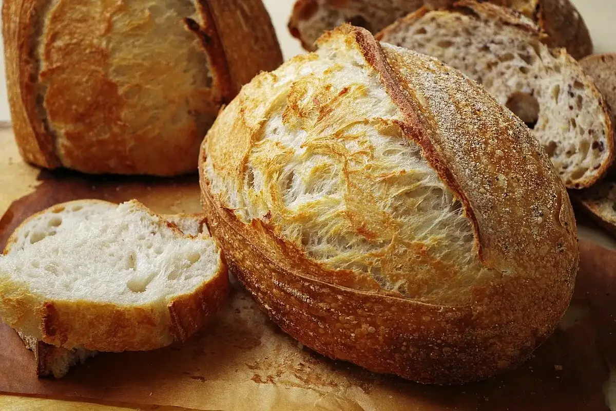 Ei jääkaappiin eikä muovipussiin: mikä on paras paikka säilyttää leipää ja estää sen kovettuminen