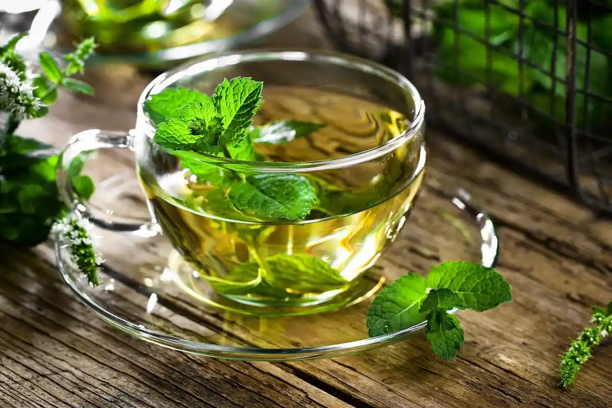 Parhaat juomat ennen nukkumaanmenoa: Mitä todella kannattaa kokeilla?