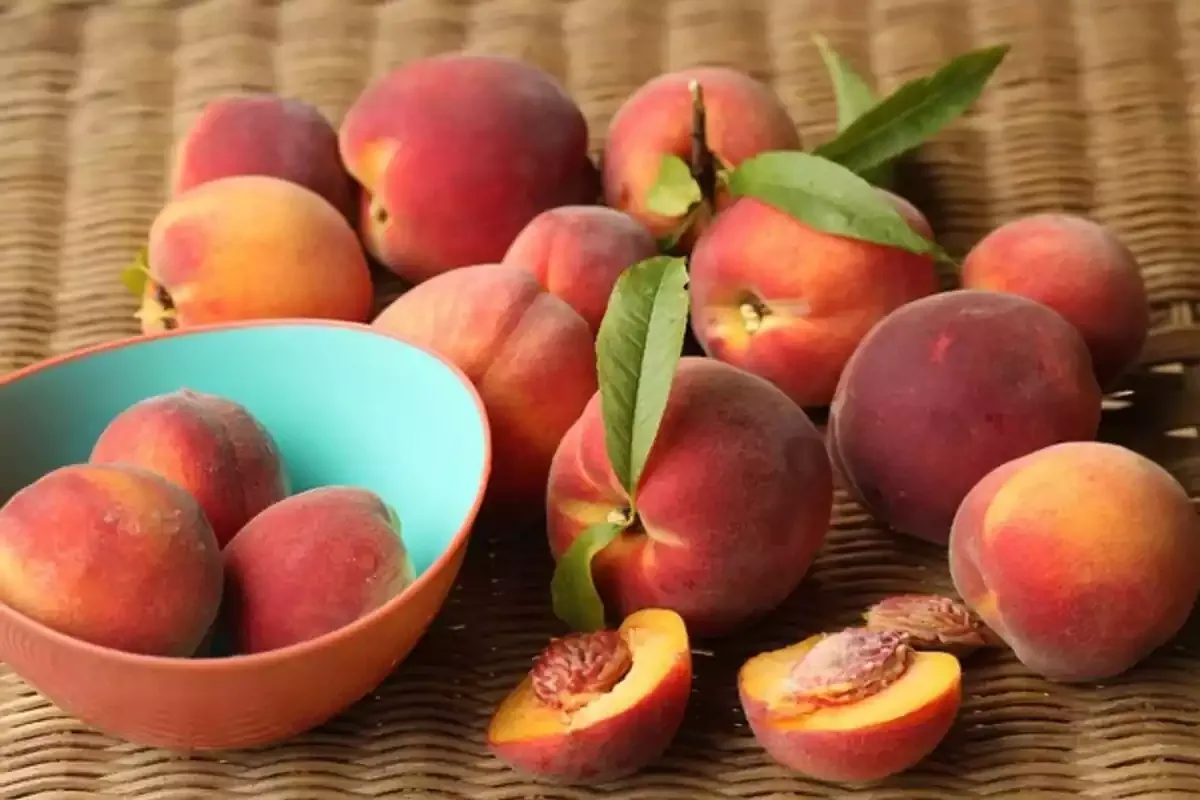 Persikkapiirakka ohje: Kesän herkullisin leivonnainen