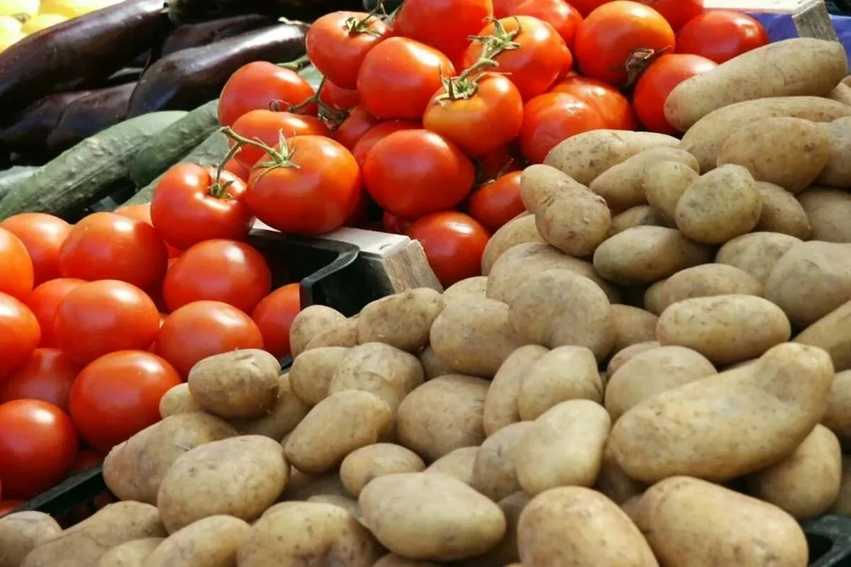 Perunan alkuperä: Miten tomaatti ja peruna liittyvät toisiinsa 9 miljoonaa vuotta sitten