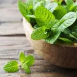 Piparminttutee – terveellinen ja rauhoittava vaihtoehto iltakahville