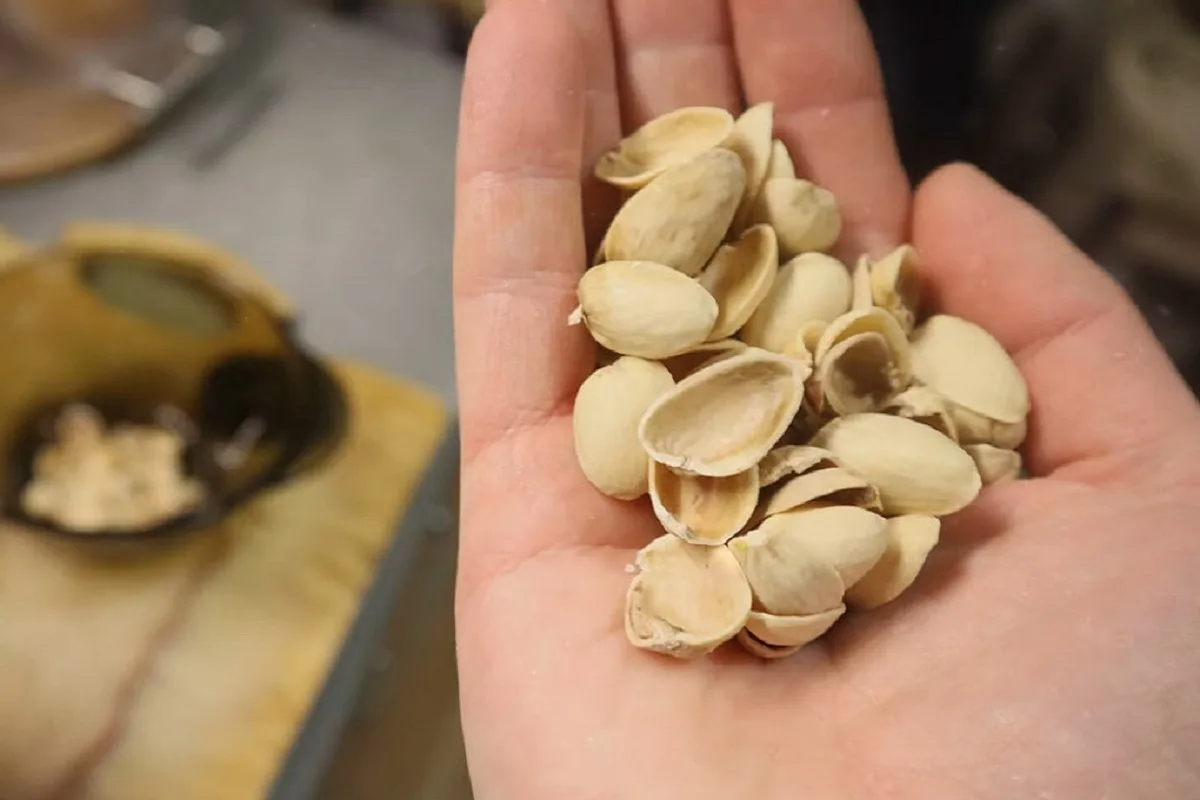 Tee upea pistasiakuorimaljakko – trendikäs ja edullinen DIY-sisustushitti!