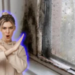 Puun homeenpoisto: Näin puhdistat puun turvallisesti ja tehokkaasti