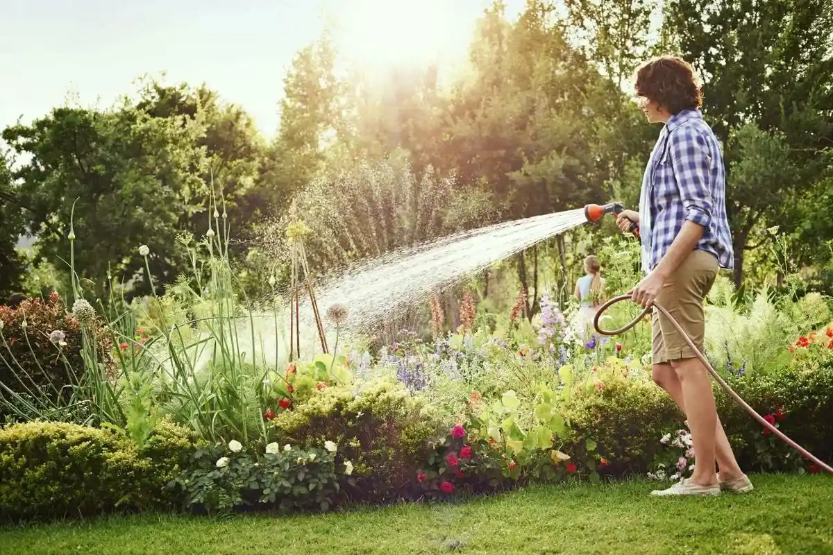 Suomalaisten mökkiläisten kasteluvirhe: aamukastelu voi pilata sadon