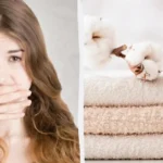 Miksi pyyhkeet alkavat haista epämiellyttävältä ja miten sen voi estää: asiantuntijoiden vinkit