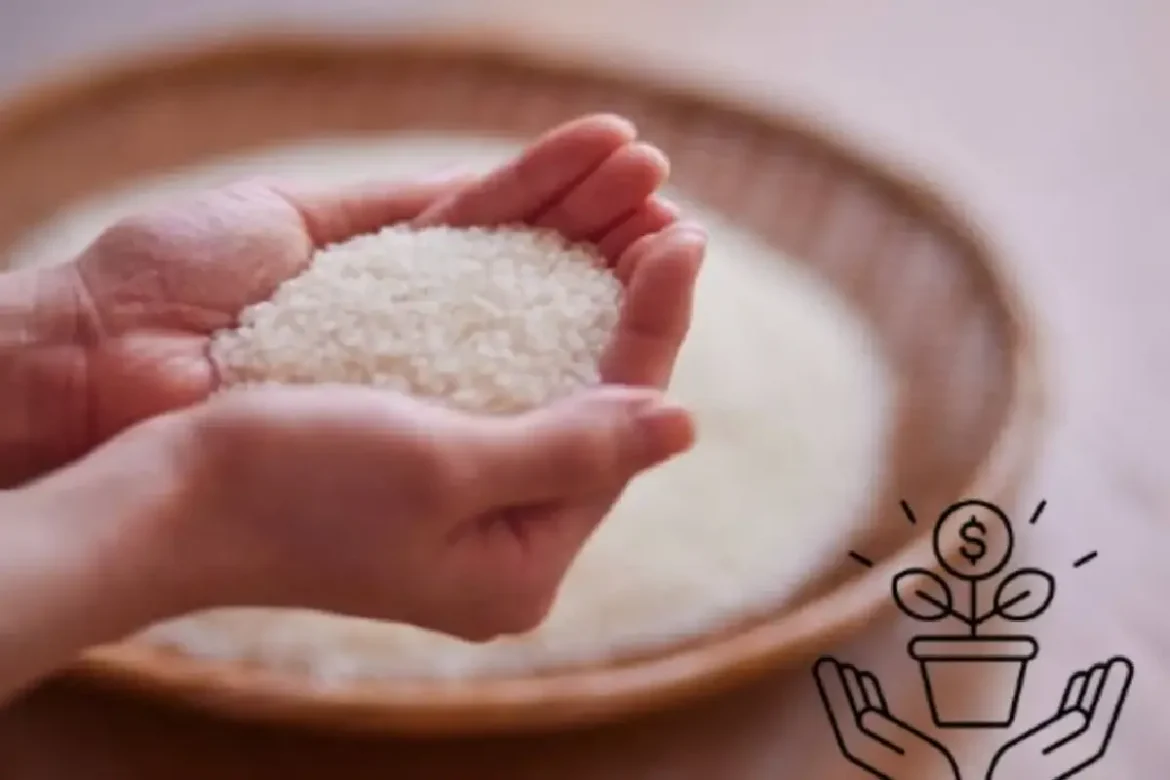 Riisi rahan houkuttelemiseen – yksinkertainen rituaali vuodelle 2025!