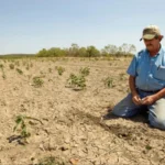 Viisi yleisintä virhettä, jotka tuhoavat sadon: Näin vältät ne ja saat runsaan sadon