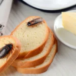 Poista torakat keittiöstäsi ikuisesti tämän tehokkaan hedelmän avulla