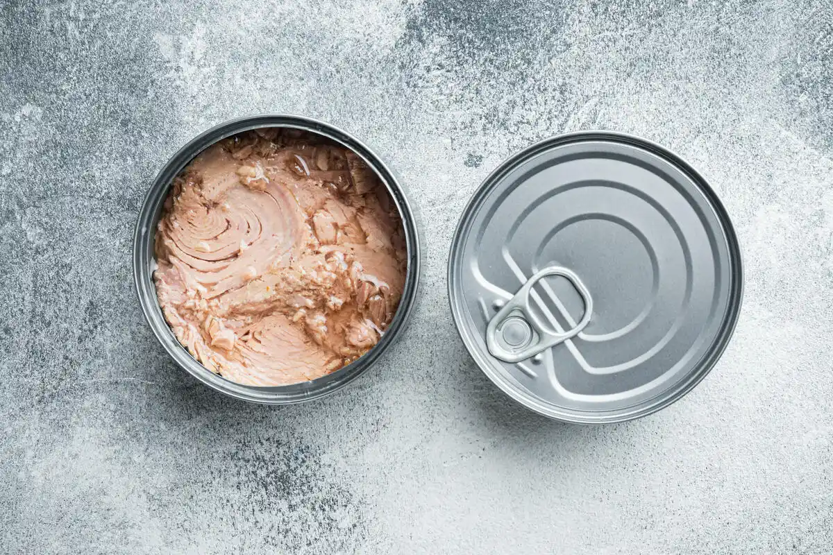 Tee tonnikalapurkista hurmaava magneettiruukku jääkaapin oveen