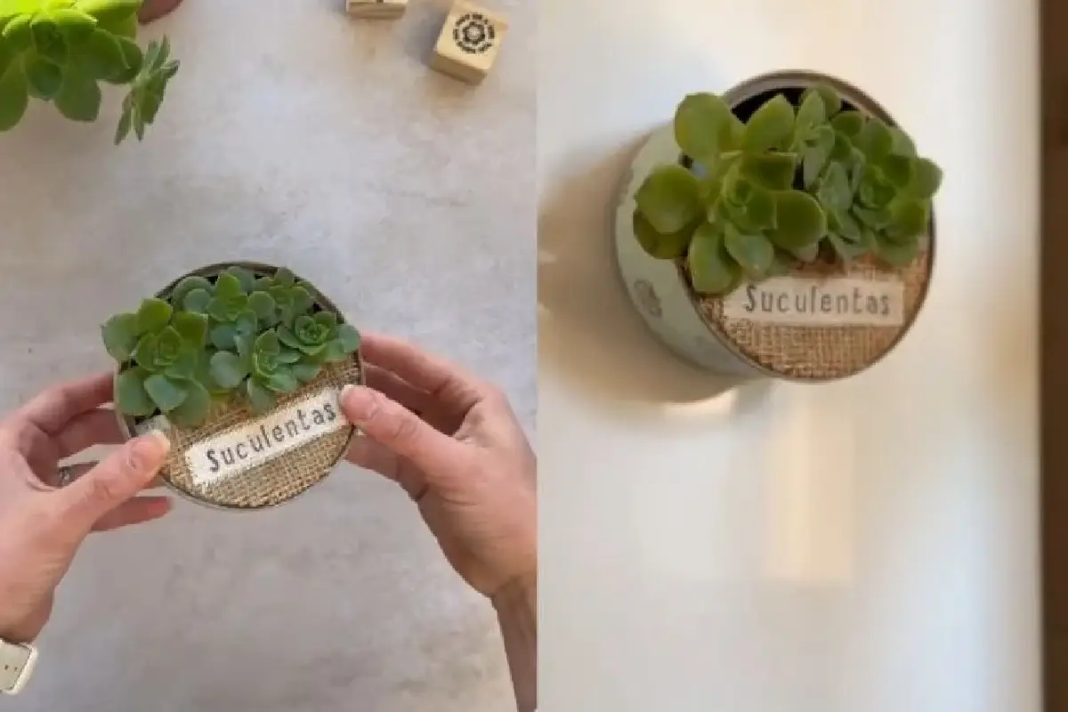 Tee tonnikalapurkista hurmaava magneettiruukku jääkaapin oveen