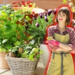 Tuholaisten torjunta kasveista – viinikorkit pelastavat ruukkusi!