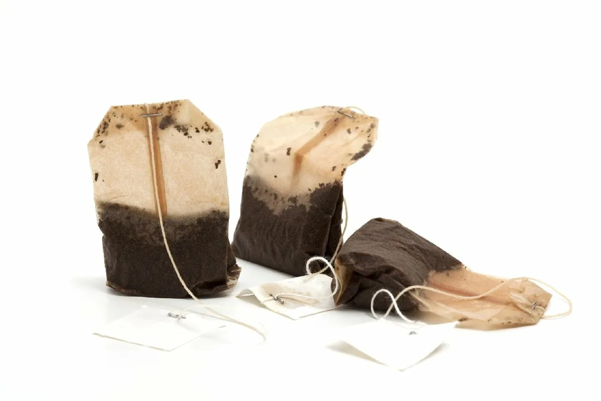 Käytetty teepussi ei kuulu roskiin: Miksi se kannattaa laittaa kissanhiekkaan