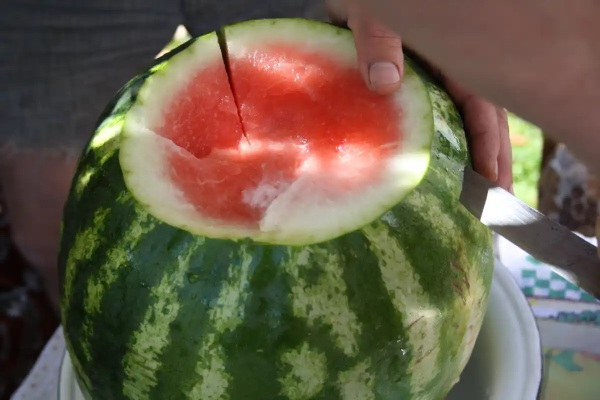 Vesimelonin valinta: Näin valitset parhaan ja makeimman vesimelonin kaupasta