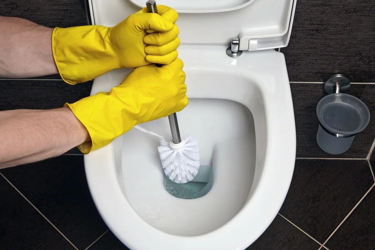 Miksi WC haisee edelleen puhdistuksen jälkeen – ja miten ongelma ratkaistaan