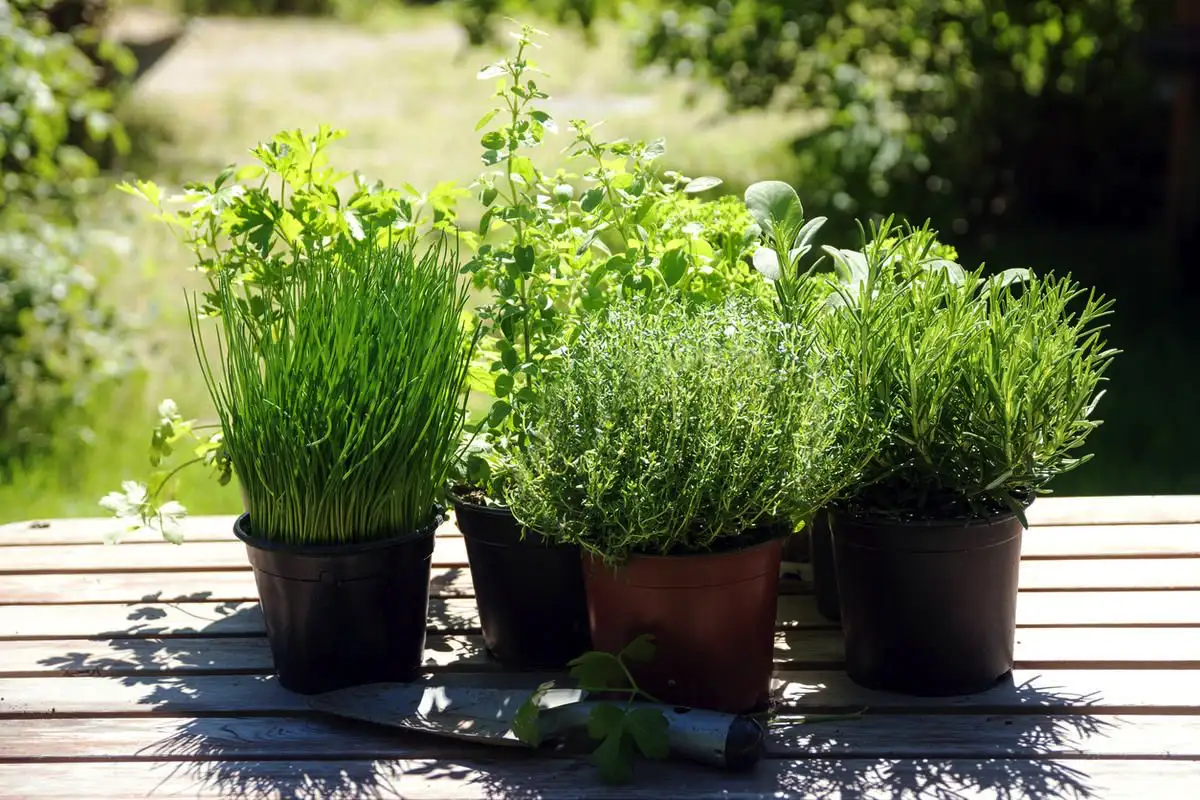 Viisi yllättävää tapaa, joita Suomen tunnetut henkilöt noudattavat