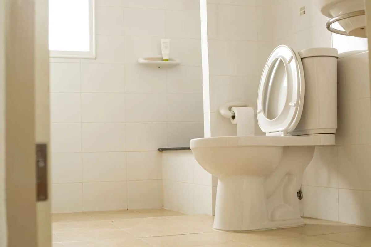 Miksi Suomalaiset Laittavat Astianpesutabletin WC-Pönttöön