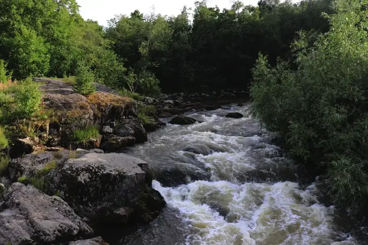 Hiitola: Missä metsänhenki asuu