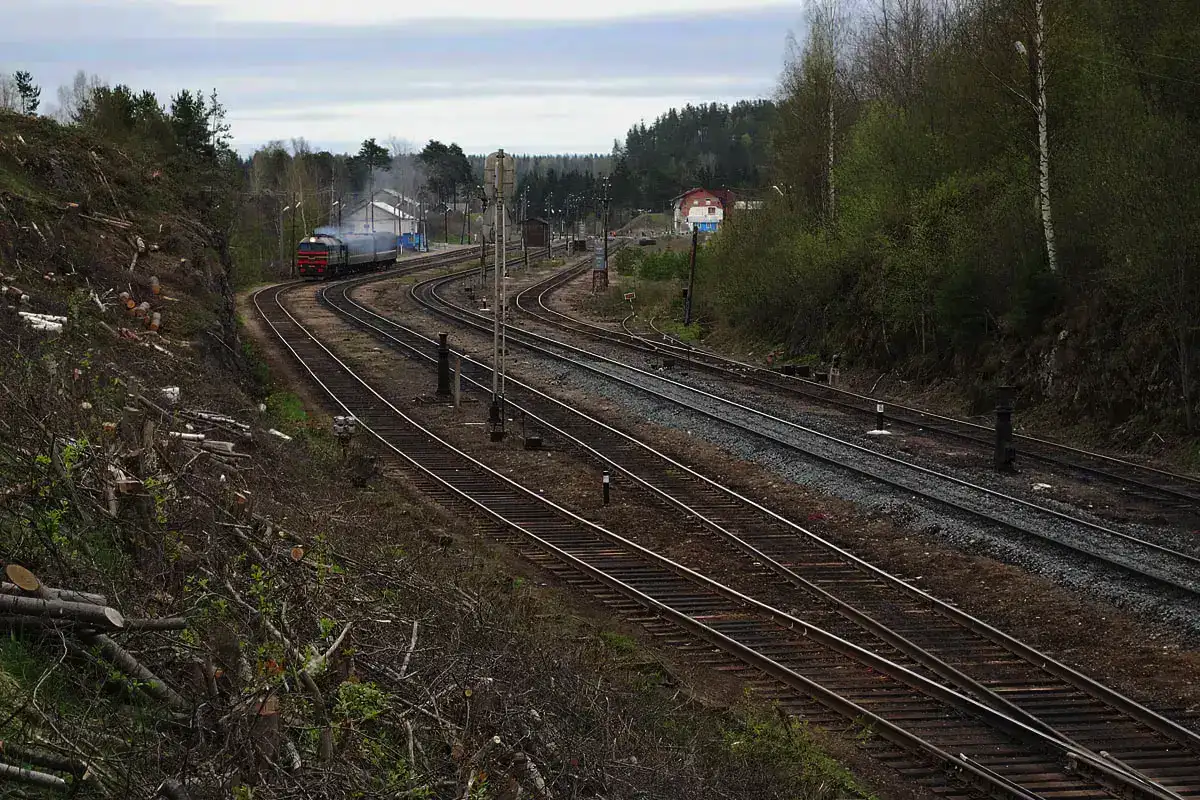 Hiitola: Missä metsänhenki asuu