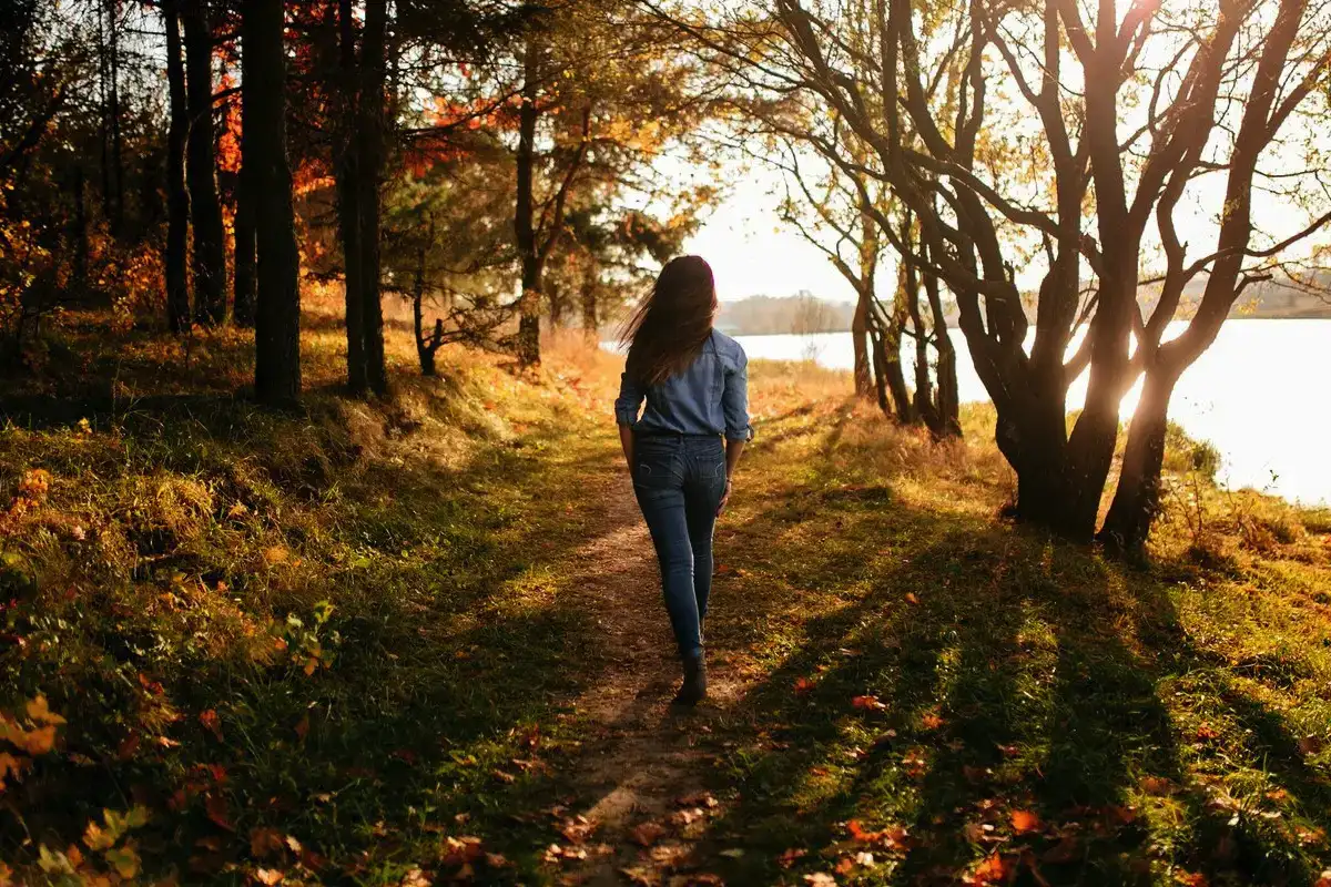 Mitä suomalaiset löytävät hiljaisuudesta? Onnen oppeja metsästä