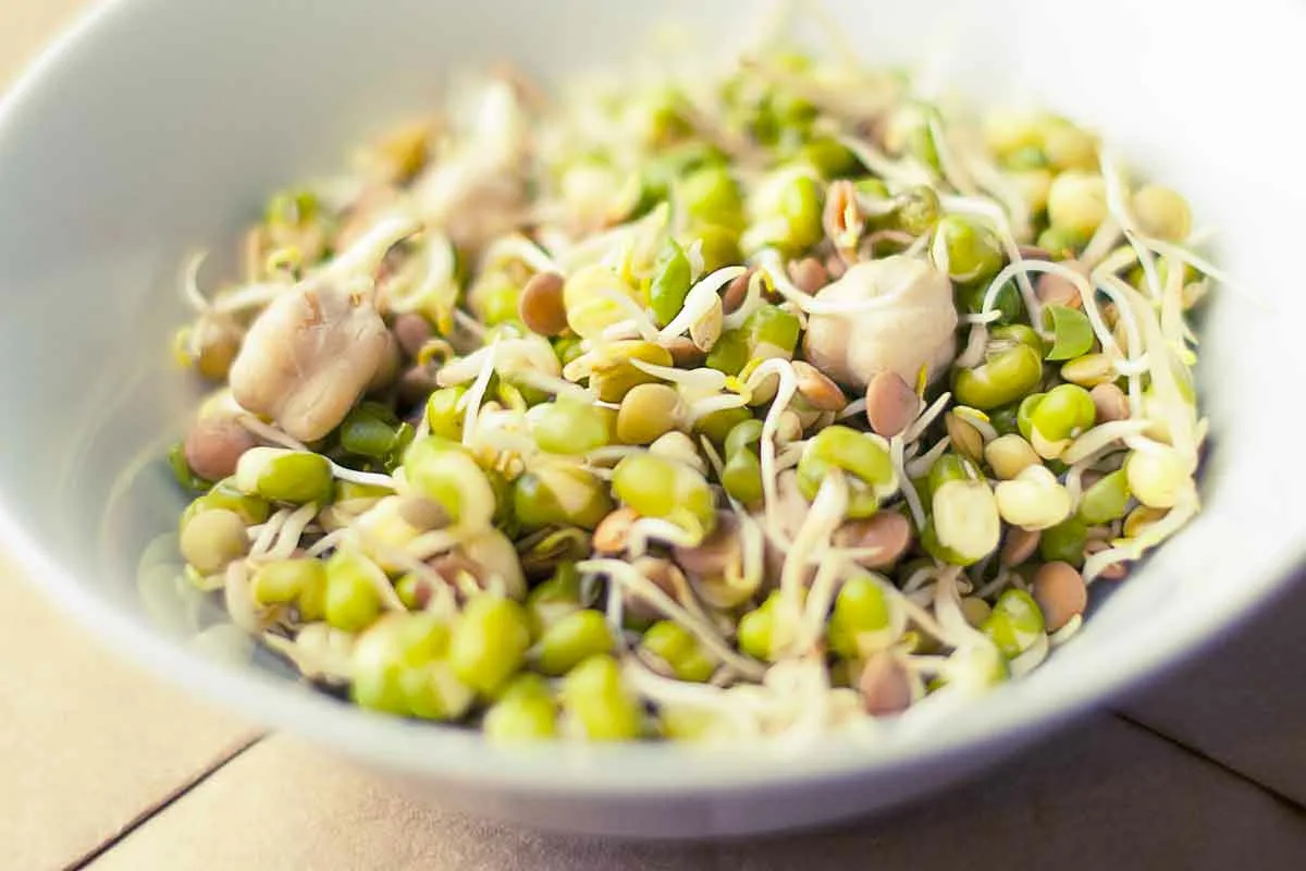 Suomalainen vinkki itujen käyttöön: Miksi lisätä ne ruokavalioosi