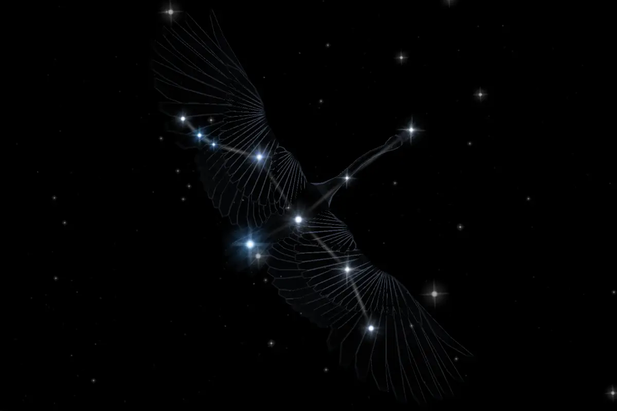 Joutsenen tähdistön eksoplaneettojen salaisuus: Suomalaiset löydöt elämän etsinnässä