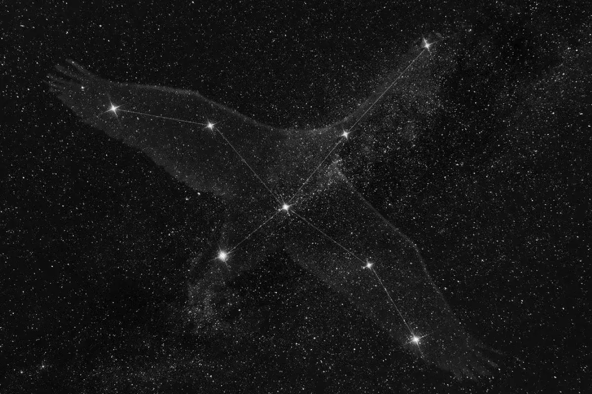 Joutsenen tähdistön eksoplaneettojen salaisuus: Suomalaiset löydöt elämän etsinnässä