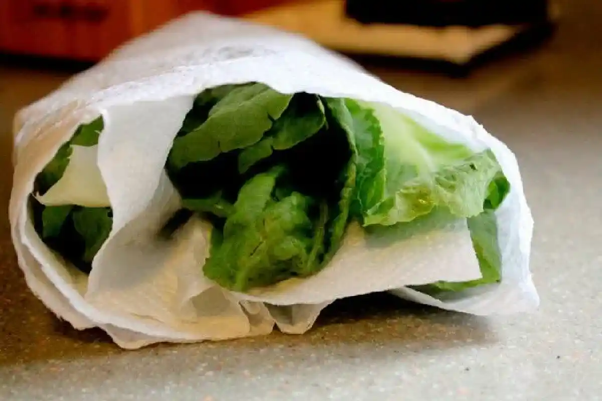 Kääri salaatti paperipyyhkeeseen: salainen vinkki, jolla vihannekset pysyvät raikkaina viikkoja