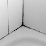 Kuinka poistaa kosteus kylpyhuoneesta? Suomalaiset keinot ilman kemikaaleja