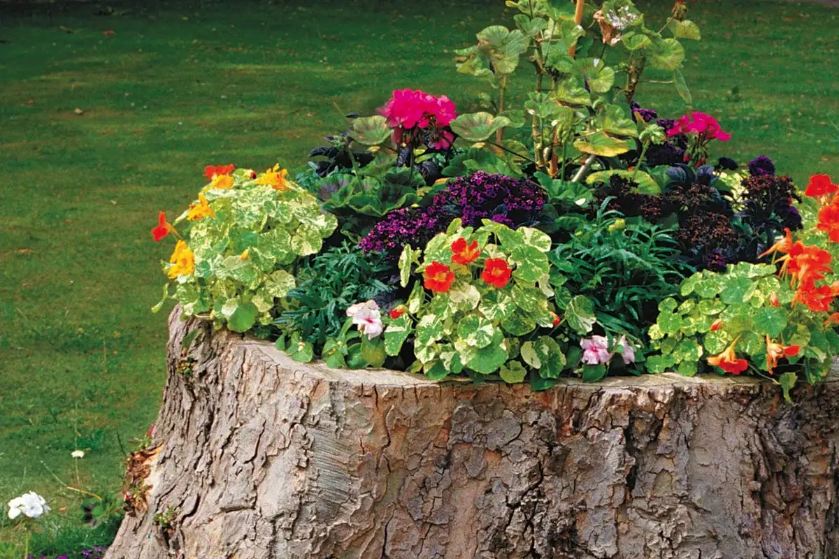 Näin saat kukkasi kukoistamaan pitkään suomalaisittain: Salaisuudet kestäviin kukkapihoihin