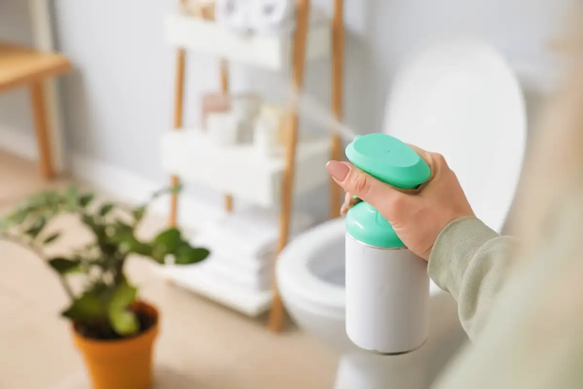 Kuinka päästä eroon epämiellyttävästä hajusta kylpyhuoneessa: Asiantuntijoiden käytännön vinkit