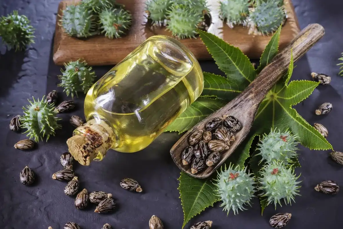 Oletko valmis luopumaan mikrobladingista luonnollisen kulmakarvojen hohtavan ilmeen vuoksi?